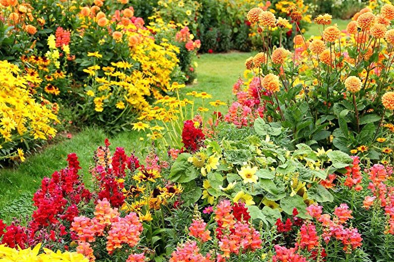 Многолетние цветы для дачи и сада - Преимущества посадки