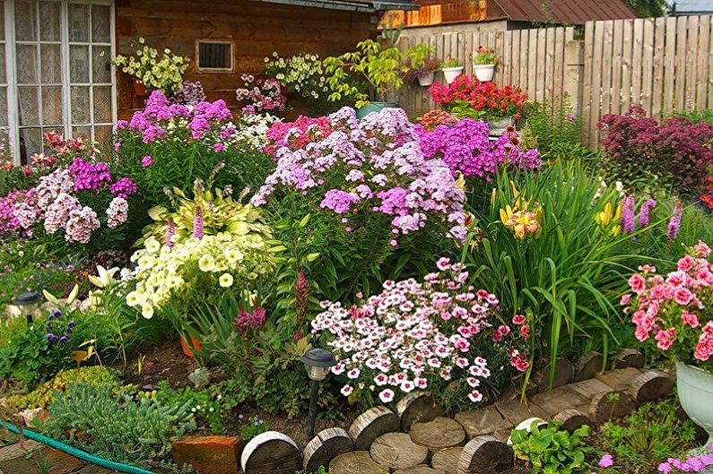 Многолетние цветы для дачи и сада - фото