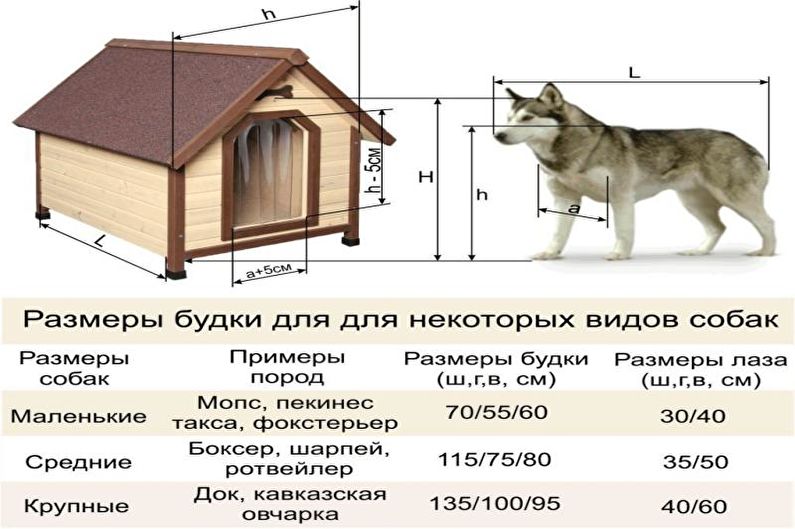Будка для собаки размеры – что следует учесть при проектировании и строительстве