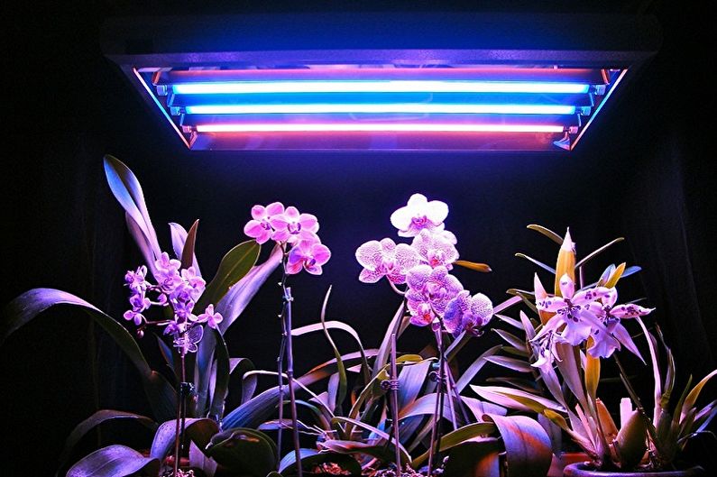 Металлогалогенная лампа для растений