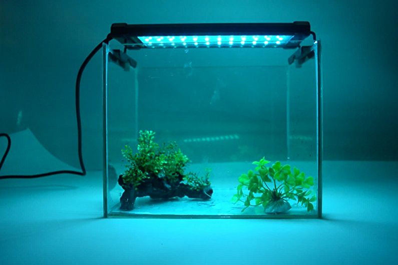 Лампы для растений - Аквариумные лампы