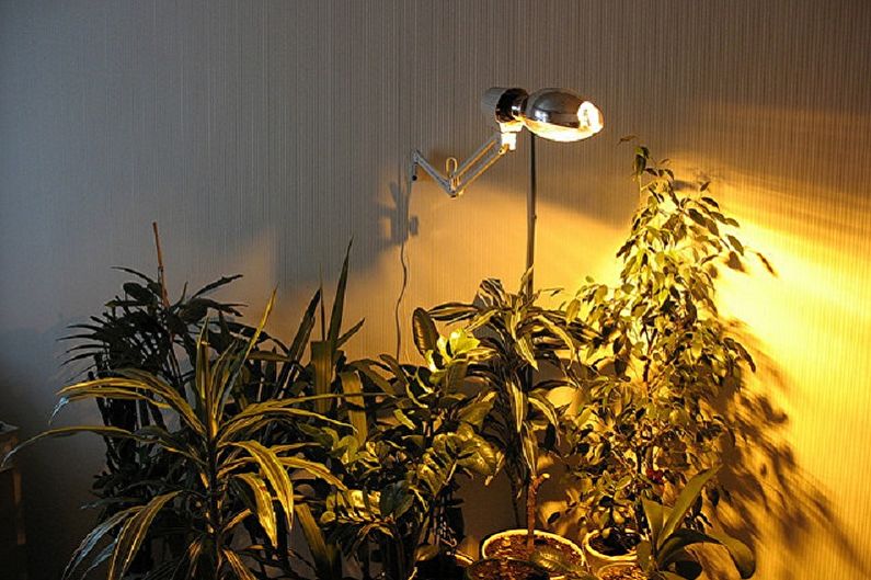 Лампы для растений - фото