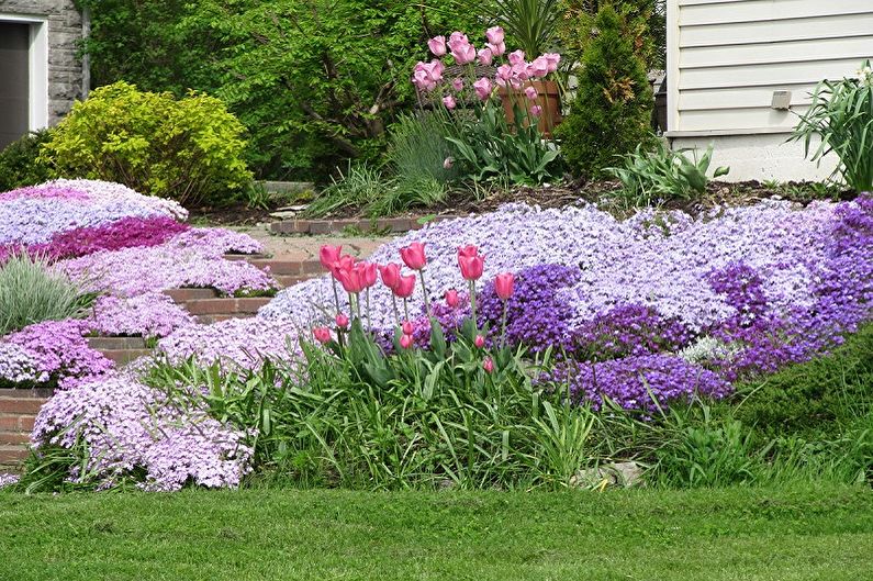 Лучшие многолетние цветы для сада: идеи и советы