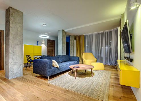 Дизайн гостиной - квартира на Шишкова